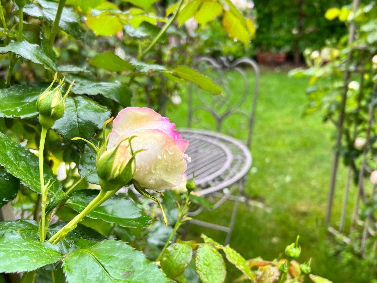 La Finestra Sul Giardino - B&B Cavedine Екстер'єр фото