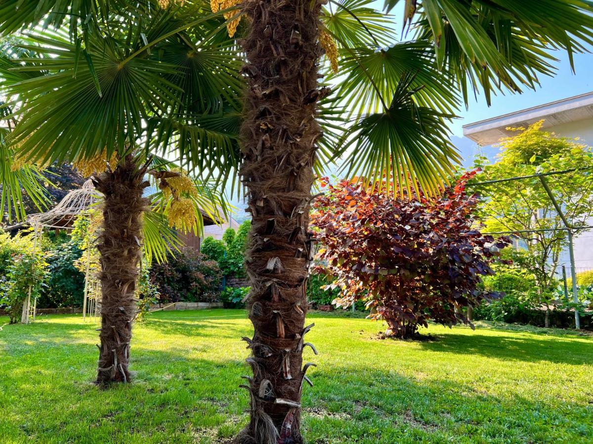 La Finestra Sul Giardino - B&B Cavedine Екстер'єр фото